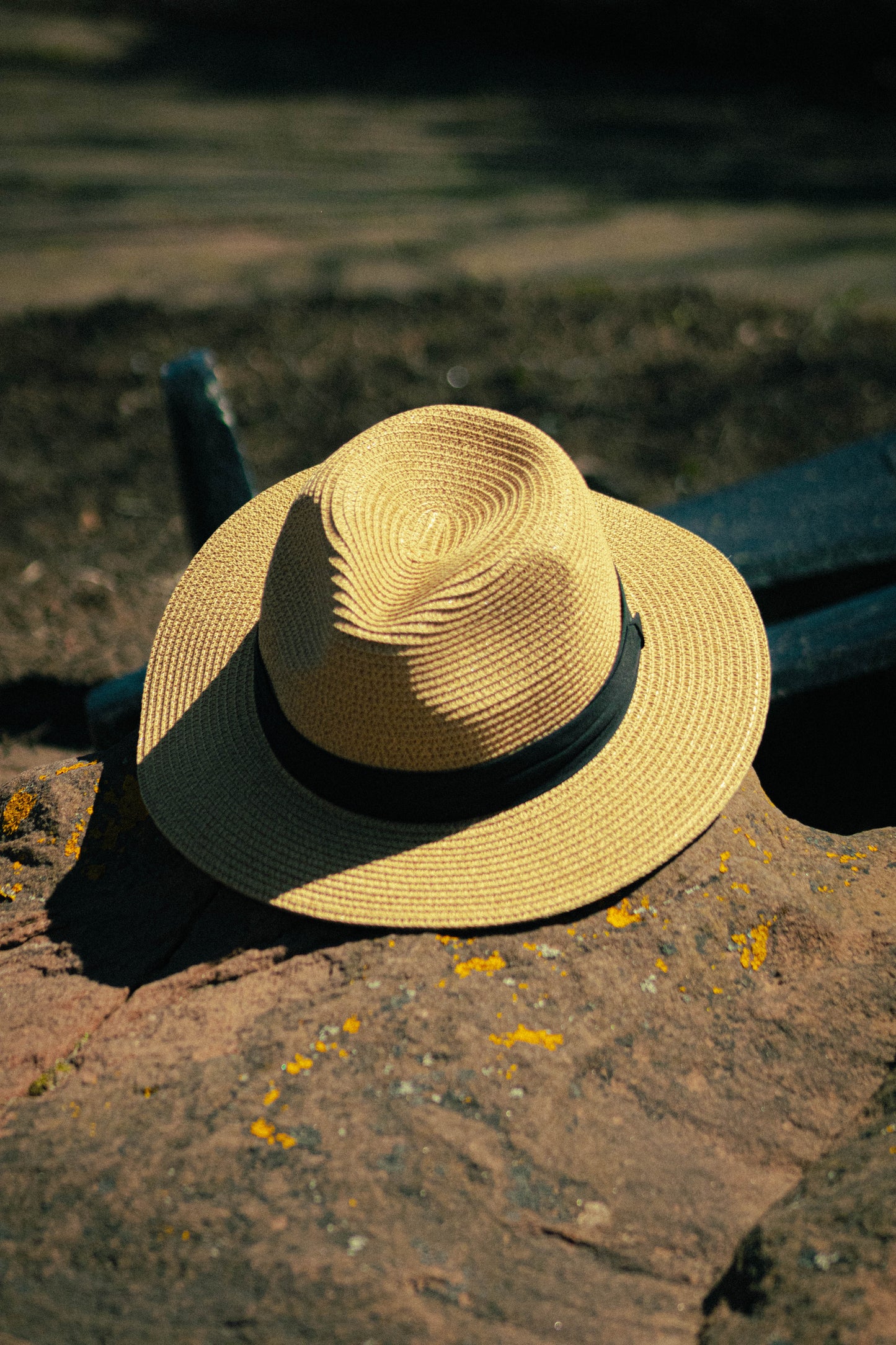 Women's Classic Fedora Straw Hat – Natural | Harbour Hat
